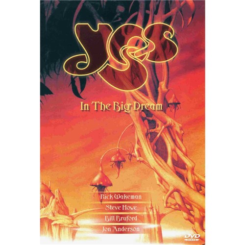 DVD Yes - In The Big Dream