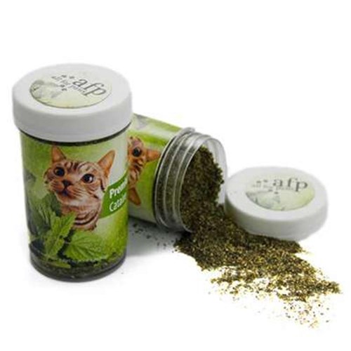 Tudo sobre 'Érva De Gato Afp Green Rush-Premium Catnip'