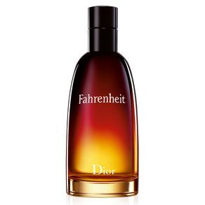 Fahrenheit Dior Perfume Masculino (Eau de Toilette) 100ml
