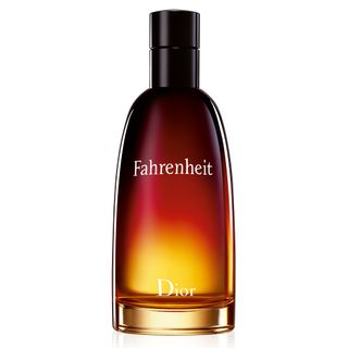 Fahrenheit Dior - Perfume Masculino - Eau de Toilette 100ml