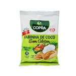 Farinha De Coco (100g) - Copra