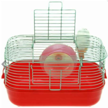 Gaiola Hamster Pop Star Completa - American Pets