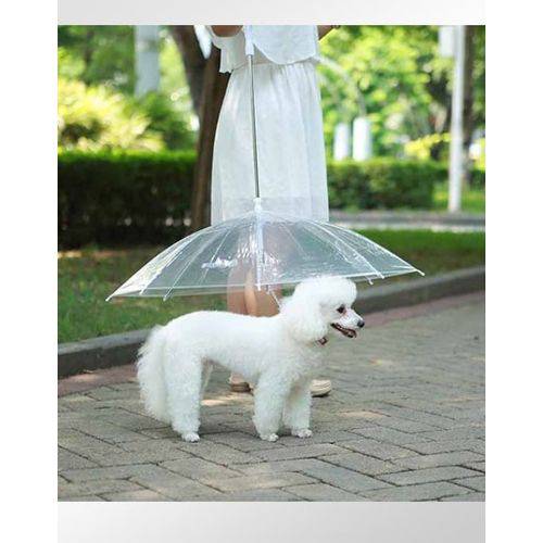 Tudo sobre 'Guarda Chuva Sombrinha para Cachorro Pet Umbrella'