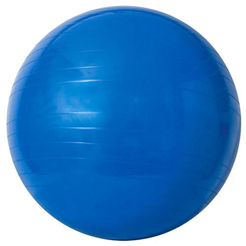 Tudo sobre 'Gym Ball 65cm com Bomba de Ar - Acte Sports'