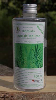 Hidrolato: Água de Melaleuca (Tea Tree)