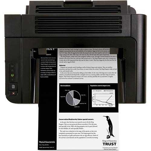 Impressora Laserjet Pro P1606DN - HP