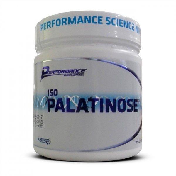 Iso Palatinose - 300g - Performance