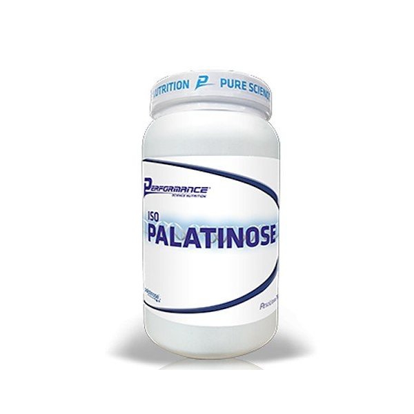 Iso Palatinose - 1kg - Performance