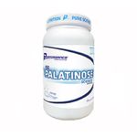 Iso Palatinose Performance Nutrition 600 G.