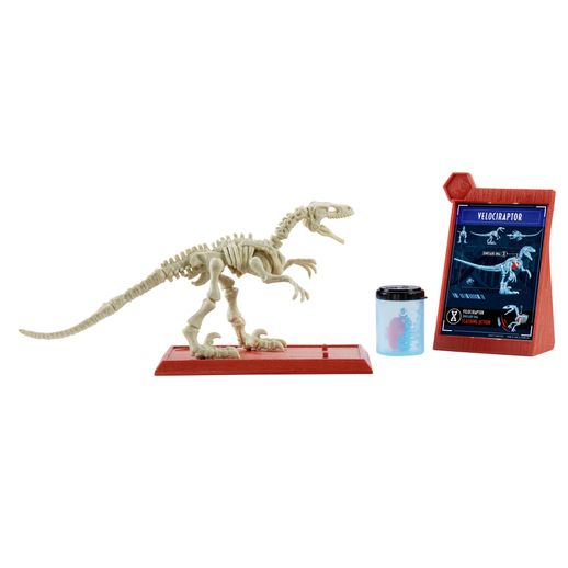 Jurassic World Esqueletos Jurassicos Velociraptor - Mattel