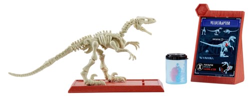 Jurassic World Esqueletos Jurassicos Velociraptor - Mattel