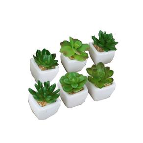 Kit 6 Plantas Mini Suculenta Cactus Artificial Vaso Cerâmica