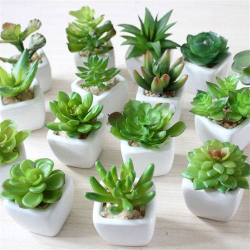 Tudo sobre 'Kit 6 Plantas Mini Suculentas e Cactus Artificiais em Vaso de Cerâmica Branco com Acabamento em Pedrinhas'