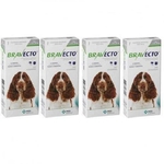 Kit Com 4 Antipulgas Bravecto Para Cães De 10 A 20 Kg 500 Mg