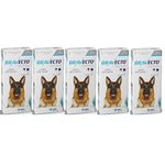 Kit com 5 Antipulgas Bravecto Para Cães De 20 A 40 kg - 1000 mg - Msd