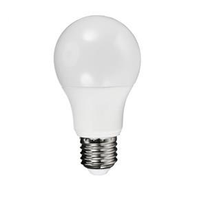 Lâmpada Led Bulbo Plástico 7w E27 Branco Frio