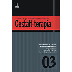 Livro - a Clínica, a Relação Psicoterapêutica e o Manejo em Gestalt-Terapia - Coleção Gestalt-Terapia - Fundamentos e Práticas