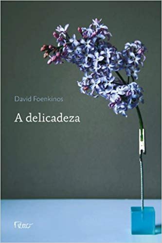 Livro - a Delicadeza