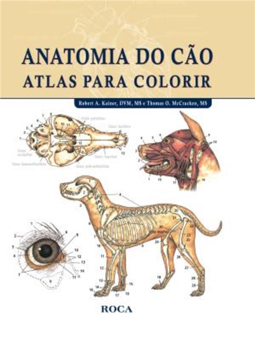 Livro - Anatomia do Cão - Atlas para Colorir - Kainer