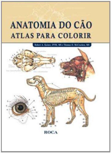 Livro - Anatomia do Cão - Atlas para Colorir