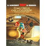 Tudo sobre 'Livro - Asterix: Como Obelix Caiu no Caldeirão do Druida Quando Era Pequeno'