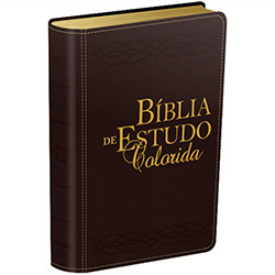 Livro - Bíblia de Estudo Colorida - Vinho
