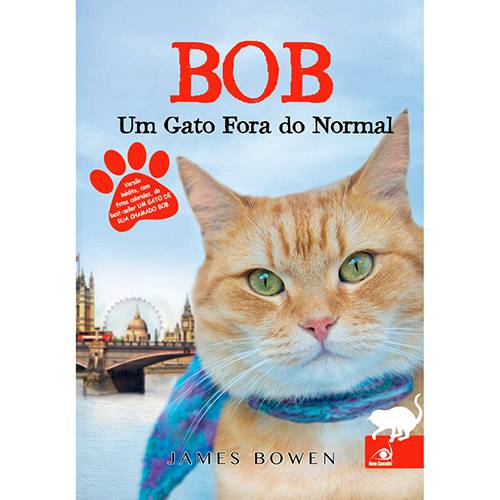 Tudo sobre 'Livro - Bob: um Gato Fora do Normal'