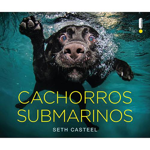 Tudo sobre 'Livro - Cachorros Submarinos'