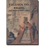 Livro - Ciganos no Brasil: uma Breve História
