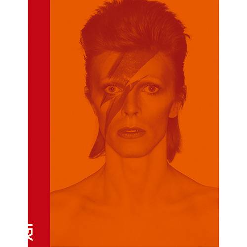 Tudo sobre 'Livro - David Bowie'