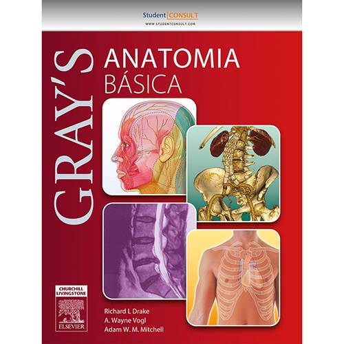 Tudo sobre 'Livro - Gray's - Anatomia Básica'
