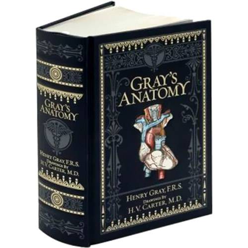 Tudo sobre 'Livro - Gray's Anatomy'