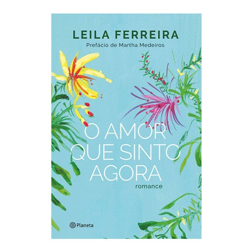 Livro o Amor que Sinto Agora - Romance Leila Ferreira