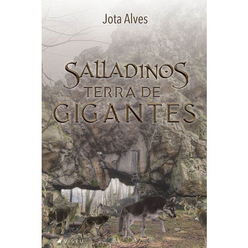 Livro - Salladinos: Terra de Gigantes