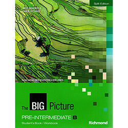 Livro - The Big Picture: Pre-Intermediate B - Student's Book/Workbook