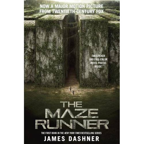 Tudo sobre 'Livro - The Maze Runner'