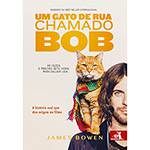 Tudo sobre 'Livro - um Gato de Rua Chamado Bob: a História Real que Deu Origem ao Filme'