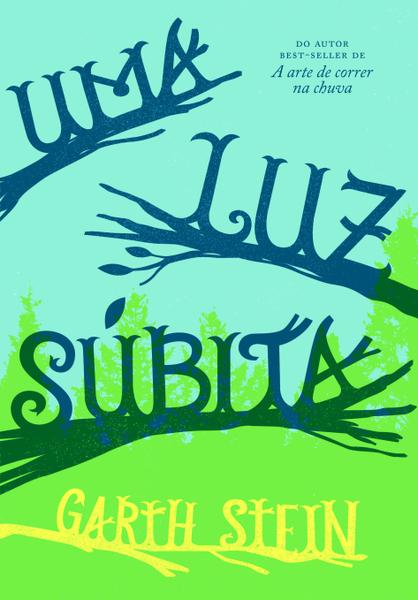 Livro - uma Luz Súbita