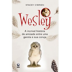 Tudo sobre 'Livro - Wesley'