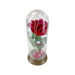 Luminária Rosa Encantada A Bela e A Fera Presente de Natal LED Frio