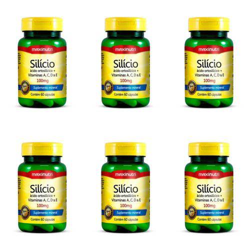 Maxinutri Silicio Quelato C/60 (kit C/06)