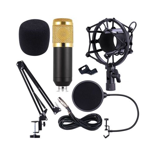 Microfone Estúdio Bm800 Dourado Condensador Suporte Articulado Pedestal Kelter