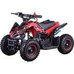 Tudo sobre 'Mini Quadriciclo ATV Bull BK-502 49CC Vermelho Bull Motors'