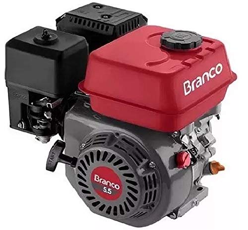 Motor à Gasolina 5,5CV 4T Partida Manual B4T-5.5H-BRANCO-90500262