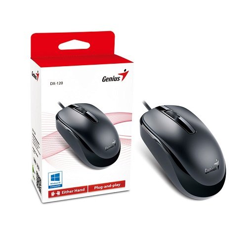 Mouse Genius 31010105100 DX-120 USB Preto