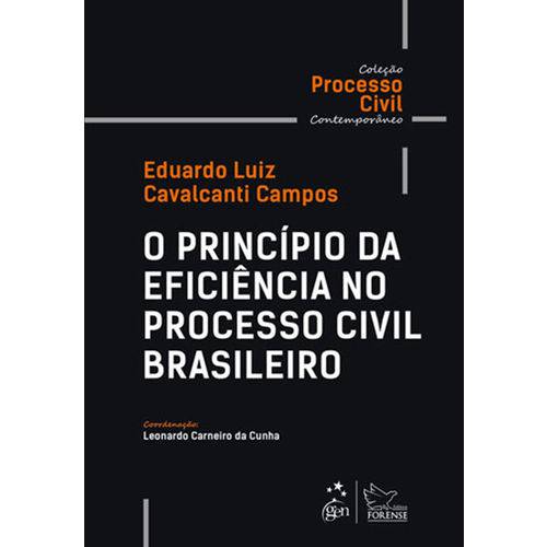 Tudo sobre 'O Princípio da Eficiência no Processo Civil Brasileiro'