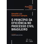 O Princípio da Eficiência no Processo Civil Brasileiro