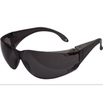 Óculos de Proteção Croma Cinza | Ferreira Mold CA 36655