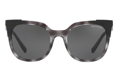 Óculos de Sol Armani Exchange Ax4075s 825187/53 Cinza Havana