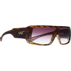 Óculos de Sol Evoke Amplibox Speed Turtle Gold Brown Gradient